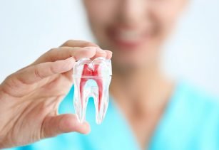 Dental Services In Alwar, Services